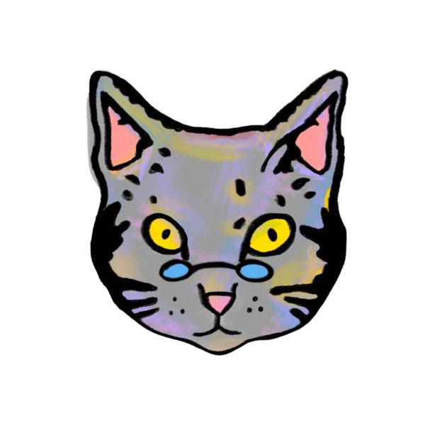Ilustración de un gato gris con expresión curiosa, luciendo gafas redondas de color azul.